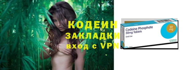 индика Надым
