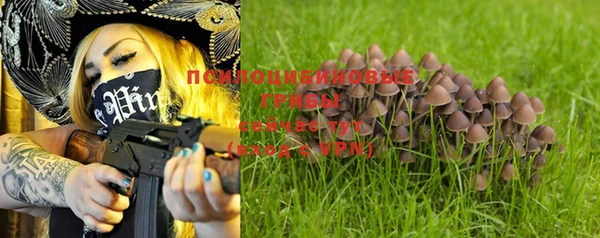 ALPHA PVP Нефтекумск